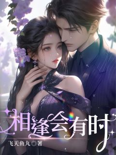 《相逢会有时》章节全目录 秦沐姿秦越西全文免费阅读
