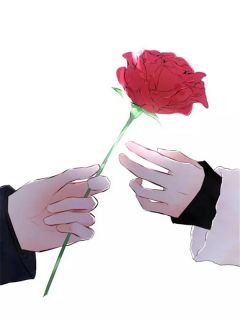 重回八零，假离婚成真后他慌了（全本）沈知夏程砚完整章节列表免费阅读
