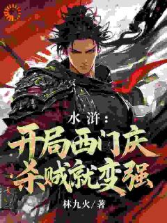 值得熬夜看完的水浒：开局西门庆，杀贼就变强小说阅读
