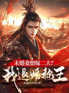 穿越成燕王世子杨凡(杨凡林清月)最新章节试读
