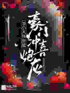 当小天师穿成豪门冲喜炮灰(苍宝傅寒柏)小说全章节目录阅读
