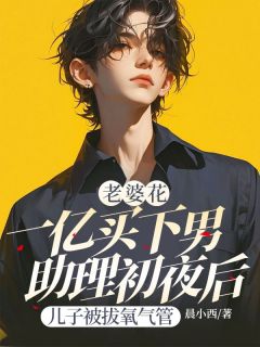 《老婆花一亿买下男助理初夜后，儿子被拔氧气管》完整版-段淮川傅晚卿在线全文阅读
