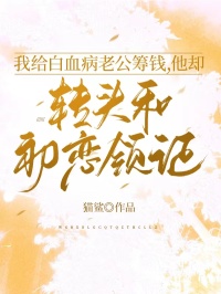 沈安许明小说结局
