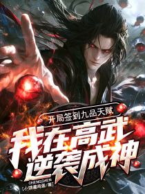 叶枫罗小小全文阅读最新 叶枫罗小小小说目录
