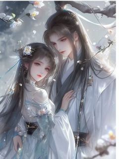 正版小说《墨染山河，与君长别》凤栖梧莫临渊在线免费阅读

