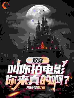 林轩王鹏小说《双穿：叫你拍电影，你玩真的啊？》全文阅读
