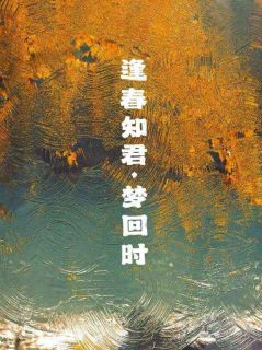 [抖音]小说沈之念庄亦迟逢春知君，梦回时
