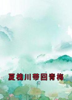 熬夜也要看完的夏槐川带回青梅小说推荐

