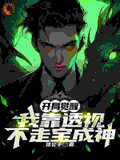 开局觉醒，我靠透视不走宝成神(林墨苏婉清)小说全章节目录阅读
