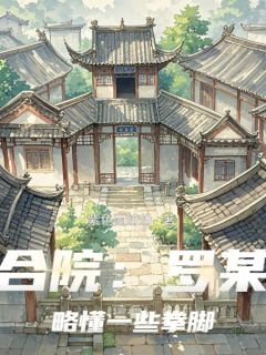 小说四合院：罗某人略懂一些拳脚主角为罗青易中海免费阅读
