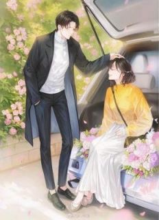 《恨明月高悬，今不照我》小说傅雁湫温以轩沈瑜免费阅读
