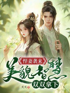 《悍妻袭来：美貌智慧双双拿下》秦雅素芬免费全章节目录阅读
