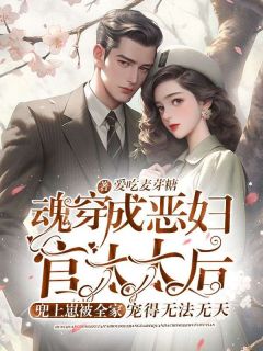 《书名》小说全章节目录阅读BY爱吃麦芽糖完结版阅读
