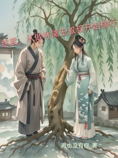 精品小说综武，从做林黛玉叔叔开始横行全文目录畅读
