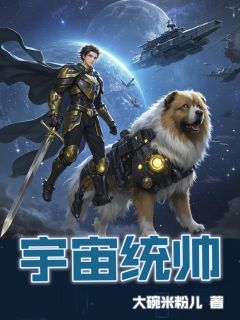 主角是陈岩黄小莉的小说叫什么《宇宙统帅》免费全文阅读

