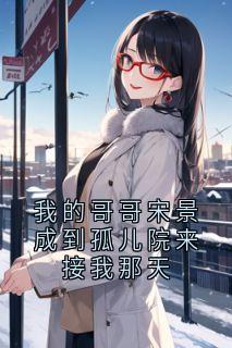 抖音小说《我的哥哥宋景成到孤儿院来接我那天》主角江拾宋景成宋心爱全文小说免费阅读
