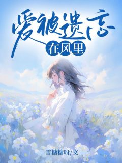 高质量小说爱被遗忘在风里在线试读
