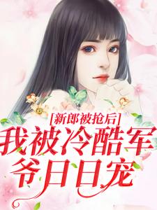 全章节小说结婚当天新郎被抢？行！我换人嫁邵华十七最新阅读
