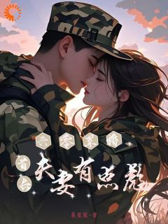 六零军婚：首长夫妻有点彪主角是阮安夏殷实枭小说百度云全文完整版阅读
