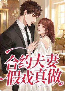 合约夫妻，假戏真做晋宸程曦沈如-爱上PPT小说
