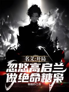 《名义：开局忽悠高启兰做绝命糖枭》无广告阅读 叶洛高启兰免费在线阅读

