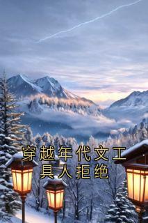 老书虫书荒推荐穿越年代文工具人拒绝txt小说阅读

