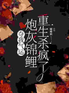 【穿书女杜云菲】小说在线阅读-穿书女杜云菲免费版目录阅读全文
