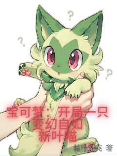 好看的宝可梦：开局一只变幻自如新叶喵小说，主角洛枫新叶喵最新章节阅读
