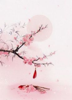 (抖音)太子转盘选妃，我果断拿走我的号码牌沈念萧澈萧婉儿小说免费全文阅读
