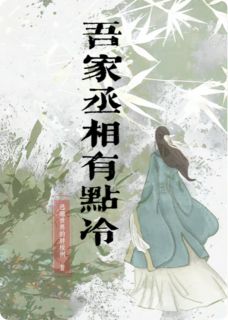 (抖音小说)苏芷沈砚小说全文阅读免费
