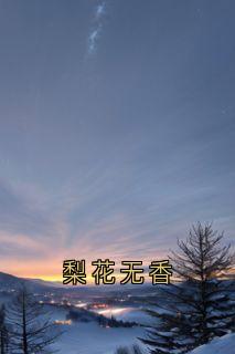 值得熬夜看完的梨花无香小说阅读
