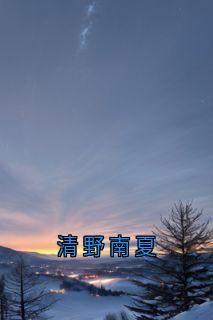 清野南夏小说-周淮南乔望舒傅时修全篇阅读

