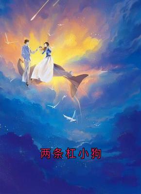 《两条杠小狗》温岁沈域全章节完结版在线阅读
