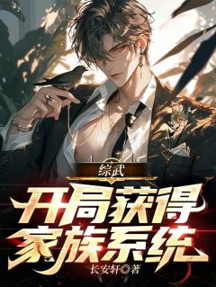 新上《综武：开局获得家族系统》长安轩小说免费阅读
