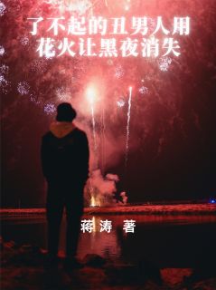 好看的了不起的丑男人用花火让黑夜消失小说，主角洪二陆沉最新章节阅读
