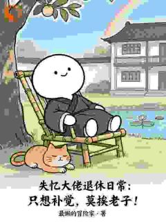 失忆大佬：只想补觉，莫挨老子！(全章节)-林间汤圆在线阅读
