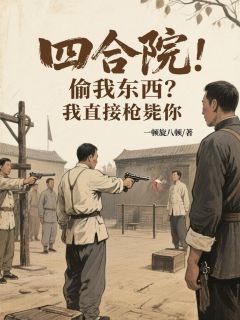 四合院：偷我东西？我直接枪毙你周恒秦淮茹小说全文-四合院：偷我东西？我直接枪毙你小说
