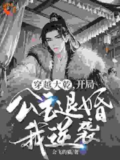 周毅朱微珍是哪本小说主角 《穿越大乾，开局公主退婚我逆袭！》免费全章节阅读
