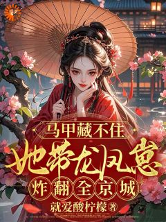 《马甲藏不住她带龙凤崽炸翻全京城》by就爱酸柠檬小说完结版在线阅读
