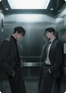 我对新公司总裁一见钟情了小说-周阳秦叡全篇阅读
