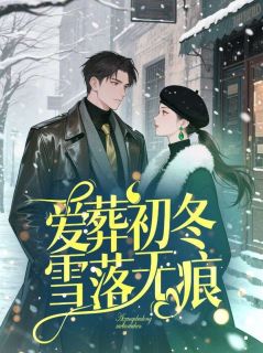 热文爱葬初冬，雪落无痕小说-主角温慈裴临川全文在线阅读
