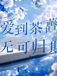 爱到荼蘼，无可归期小说(完结)-乔念安林烬章节阅读
