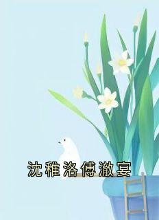 沈稚洛傅澈宴